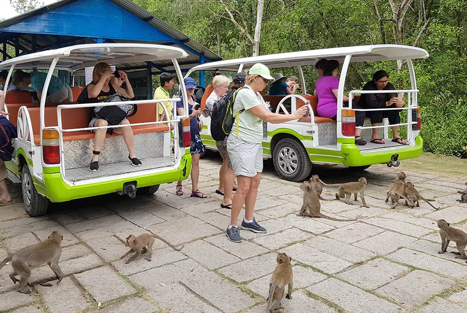 Day Tour | Explore Can Gio Mangrove Biosphere Reserve by Speedboat | Departs from Ho Chi Minh City